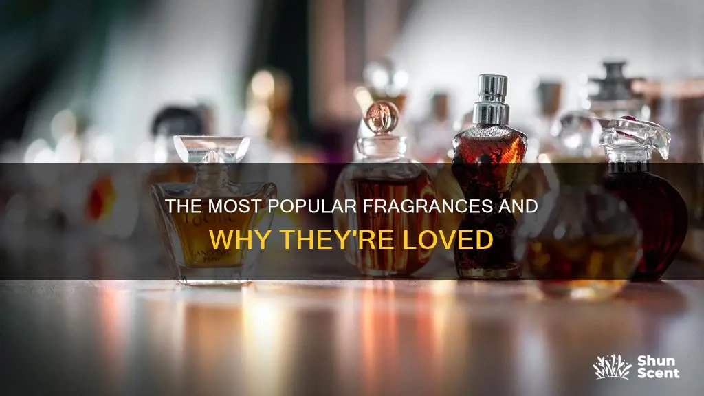what is the most loved perfume