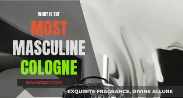 The Ultimate Guide to Masculine Fragrances for Men