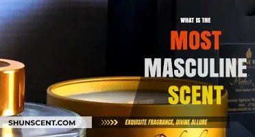 Unveiling the Ultimate Masculine Scent: A Guide to Timeless Aromas