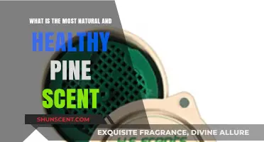Discover the Purest, Healthiest Pine Scent for Natural Well-Being