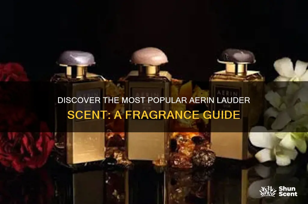 what is the most popular aerin lauder scent