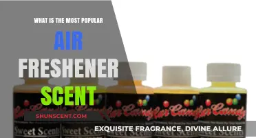 Discover the Most Popular Air Freshener Scent for Your Home