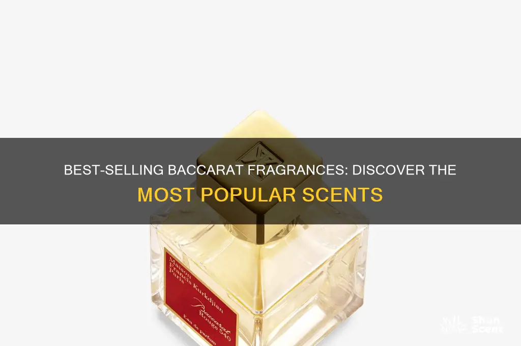 what is the most popular baccarat perfume