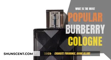 Burberry's Most Popular Colognes for Men