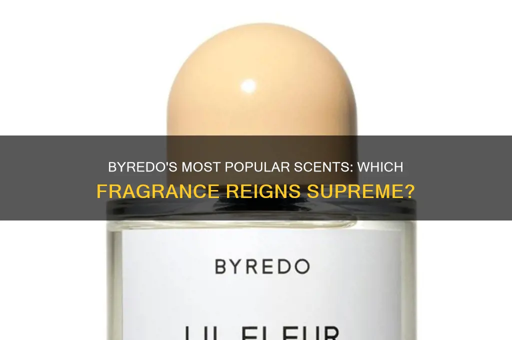 what is the most popular byredo perfume