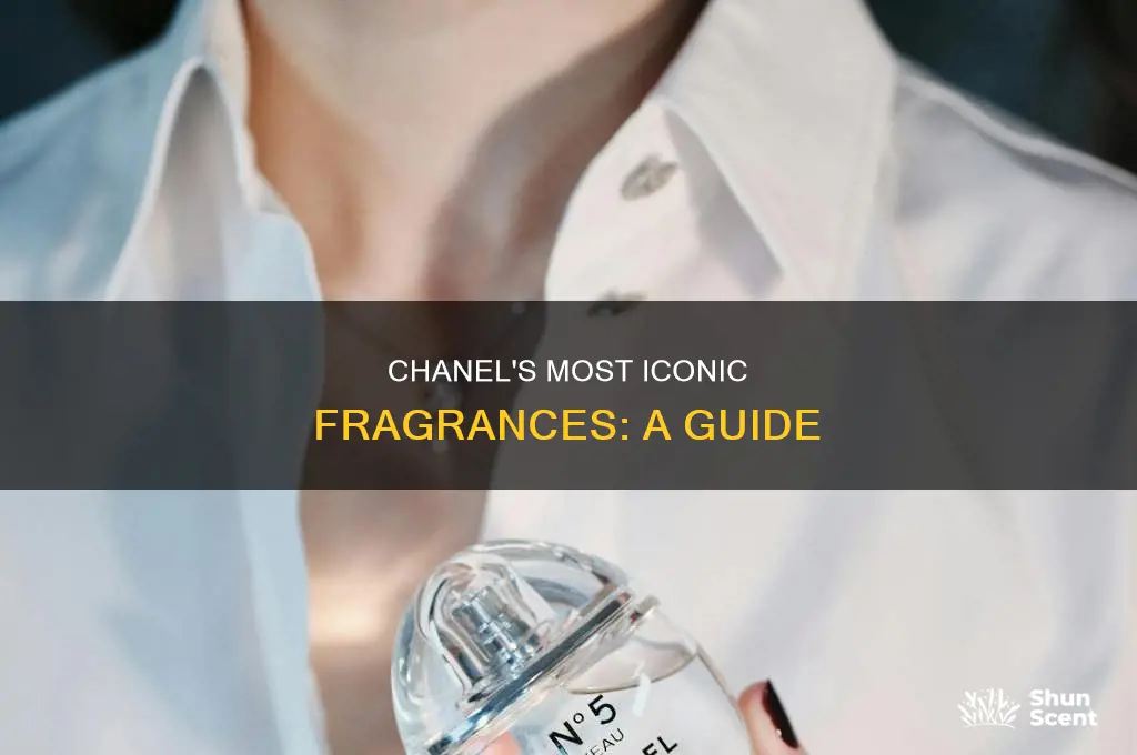 what is the most popular coco chanel perfume