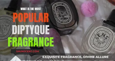 Diptyque's Most Popular Fragrances: A Sensory Journey