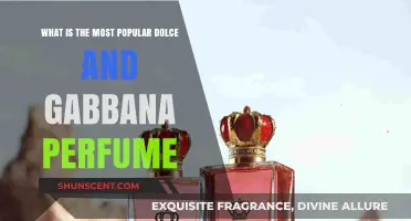 The Most Popular Dolce & Gabbana Fragrances for You