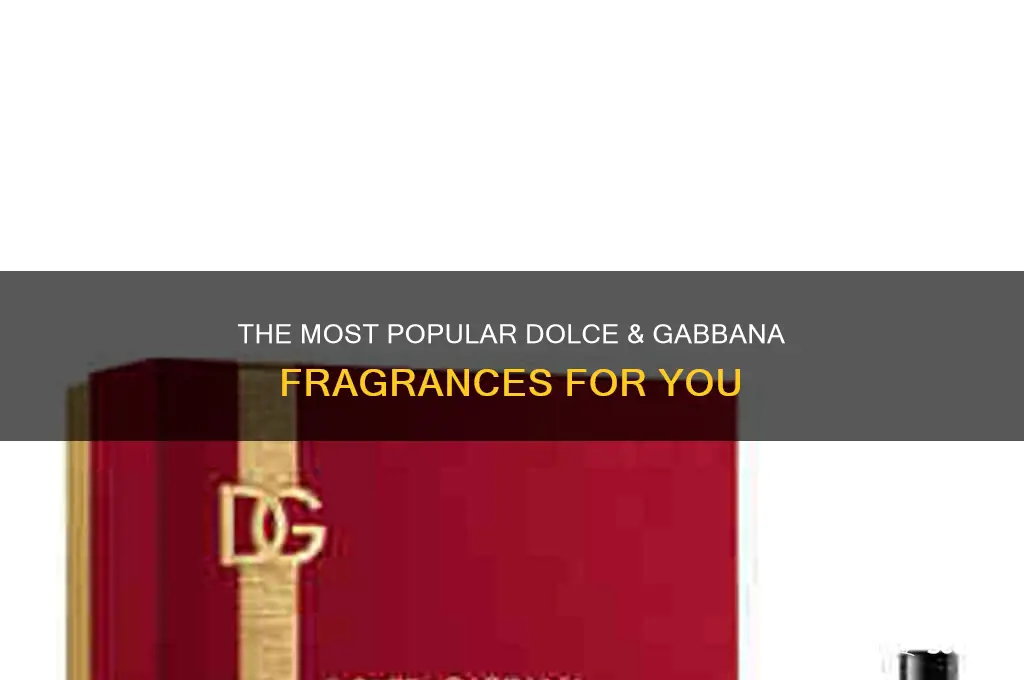 what is the most popular dolce and gabbana perfume