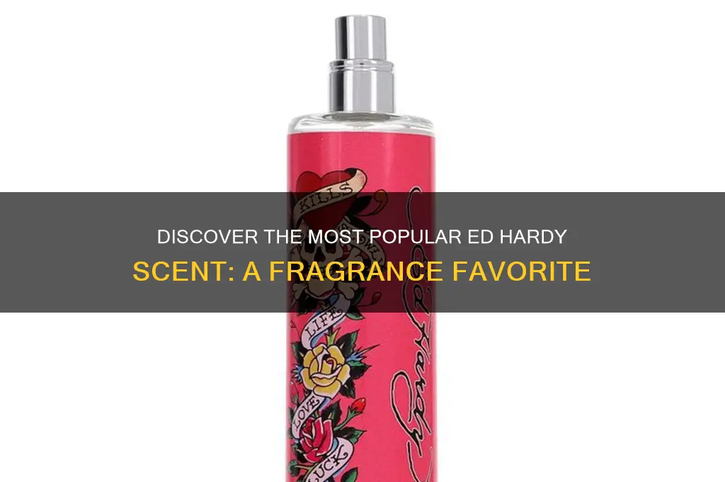 what is the most popular ed hardy scent