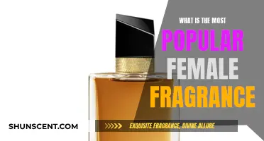 The Most Loved Fragrances for Women This Year