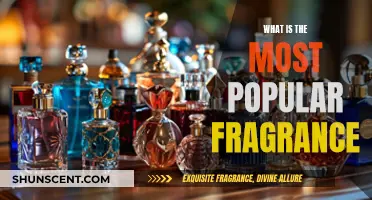 The Most Popular Fragrance: What's the Buzz?