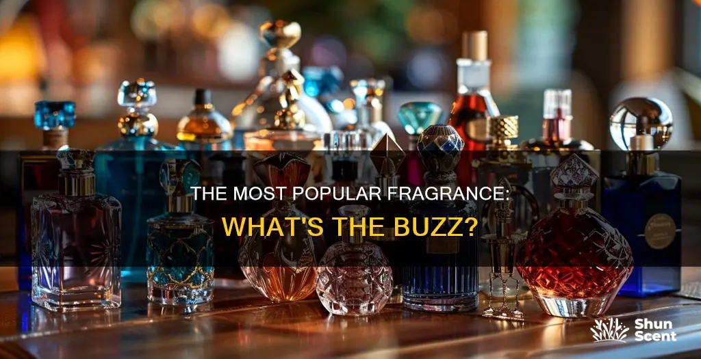 what is the most popular fragrance