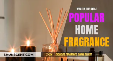 Home Fragrance Trends: What Scents Are In Vogue?