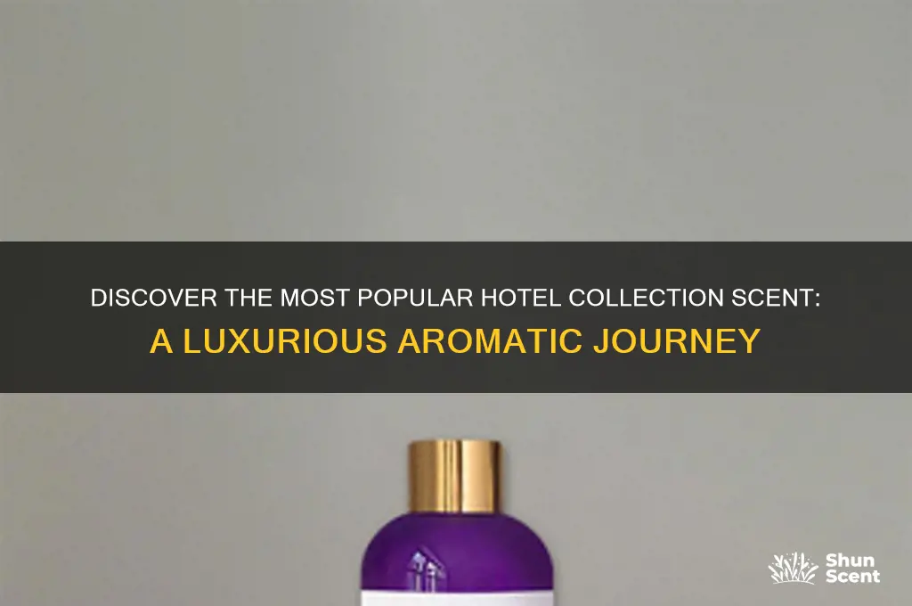 what is the most popular hotel collection scent