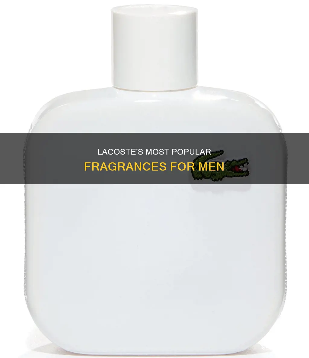 what is the most popular lacoste cologne