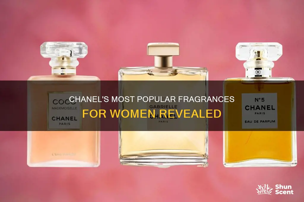 what is the most popular ladies chanel perfume