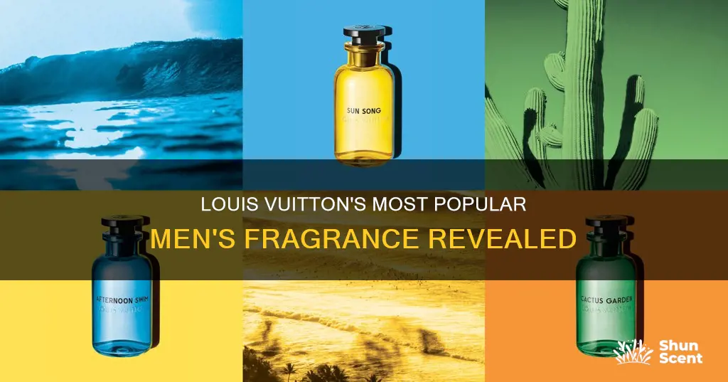 what is the most popular louis vuitton men
