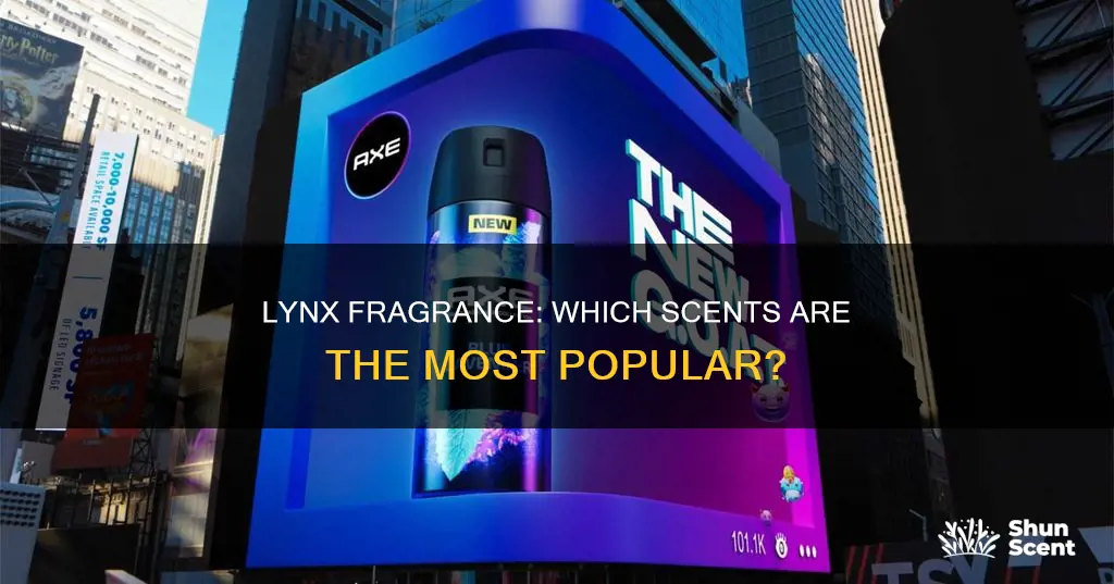 what is the most popular lynx fragrance