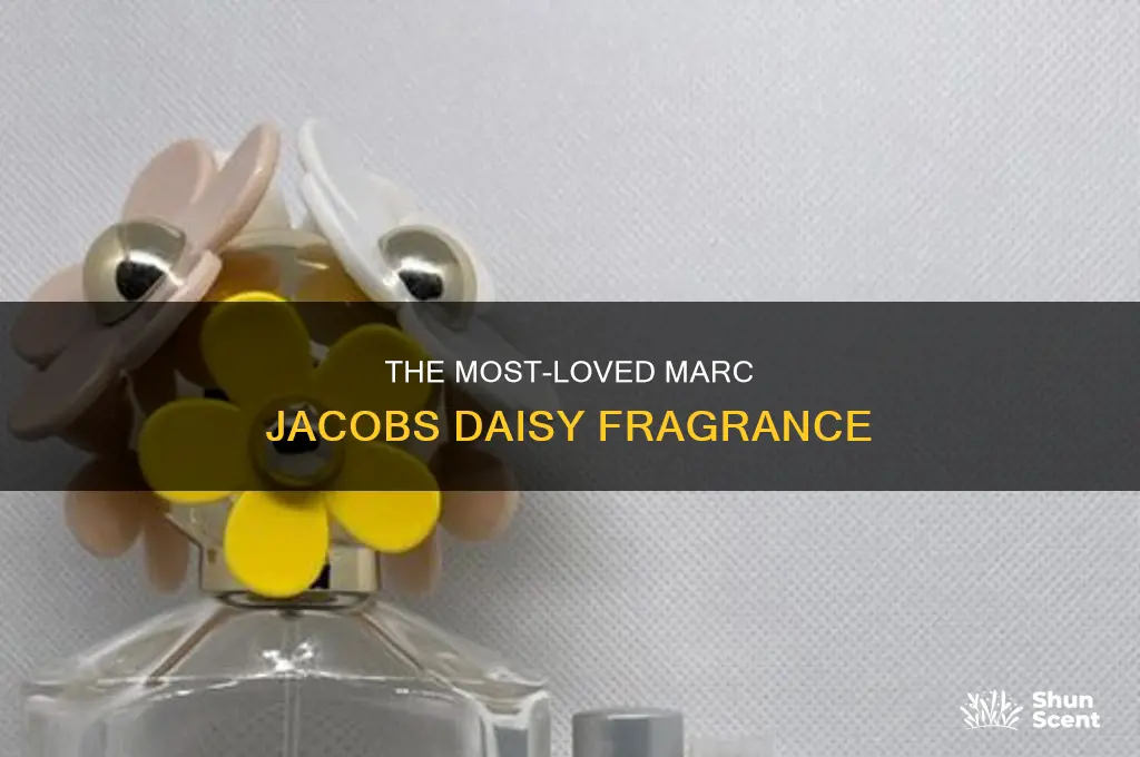 what is the most popular marc jacobs daisy perfume