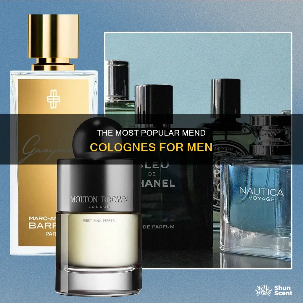 what is the most popular mend cologne