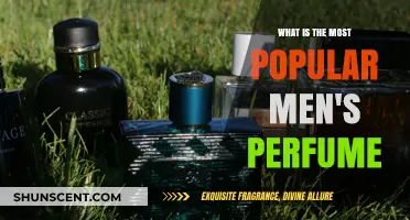 Top-Selling Men's Colognes: A Guide