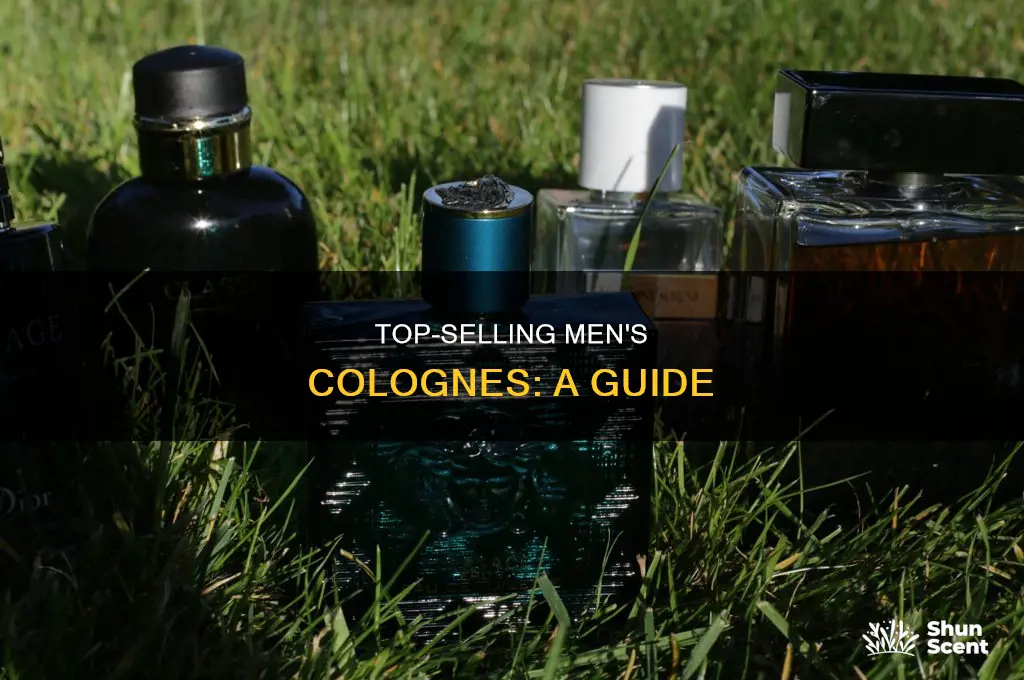 what is the most popular men