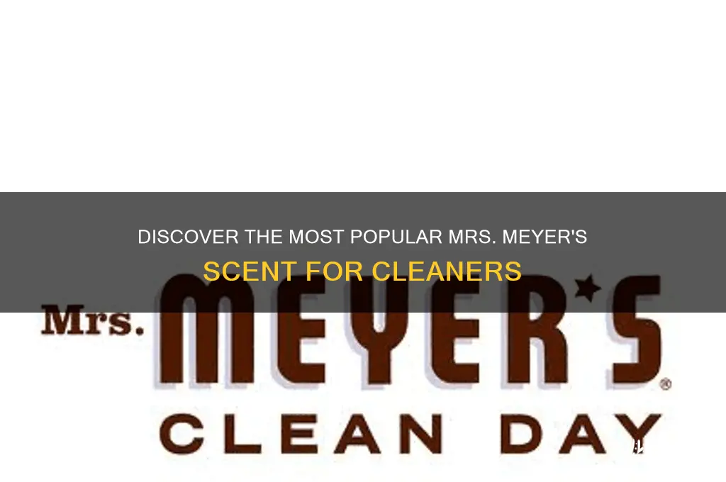 what is the most popular mrs meyer scent cleaner