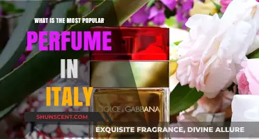 The Most Loved Italian Scents: Top Perfumes in Italy