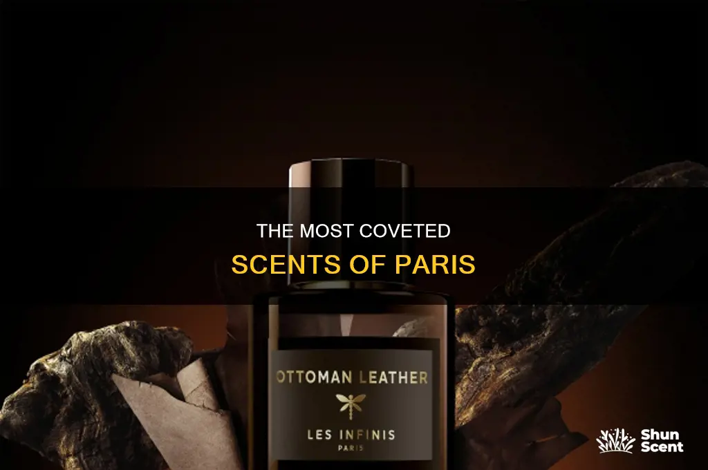 what is the most popular perfume in paris