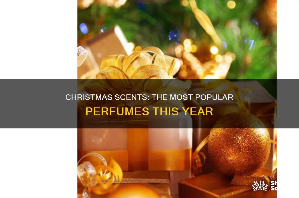 what is the most popular perfume this christmas