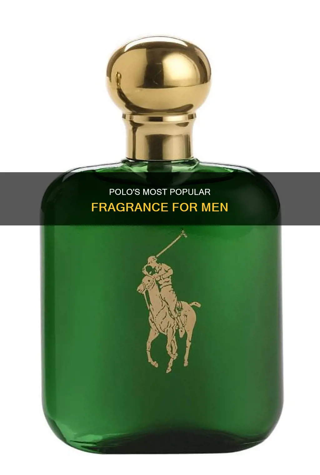 what is the most popular polo cologne