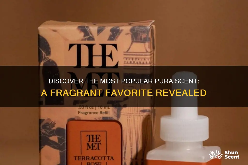 what is the most popular pura scent
