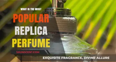 Best Replica Perfumes: Top Picks and Reviews
