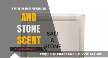 Discover the Most Popular Salt and Stone Scent: A Fragrant Guide