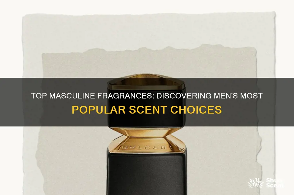 what is the most popular scent for men