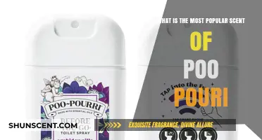 Discover the Most Popular Poo-Pourri Scent: Freshen Up Your Bathroom!