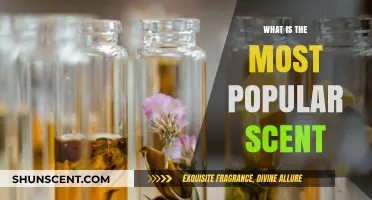 Exploring the Most Popular Scent: A Journey Through Aromatic Preferences