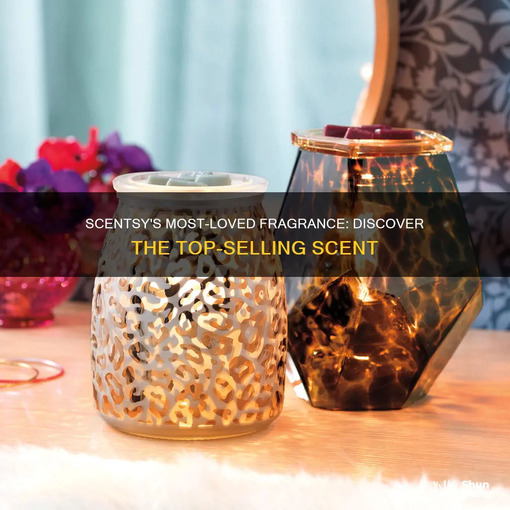 what is the most popular scentsy fragrance