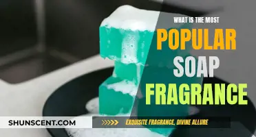 Trending Scents: Popular Soap Fragrances for Relaxation