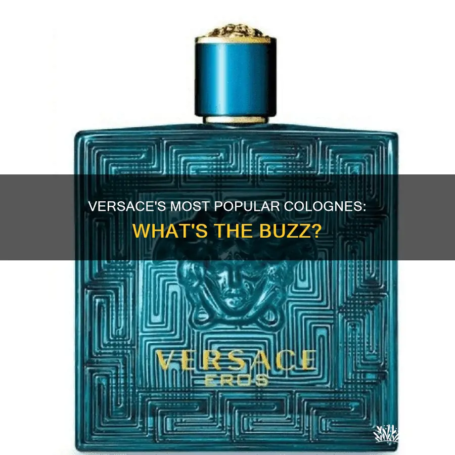 what is the most popular versace cologne