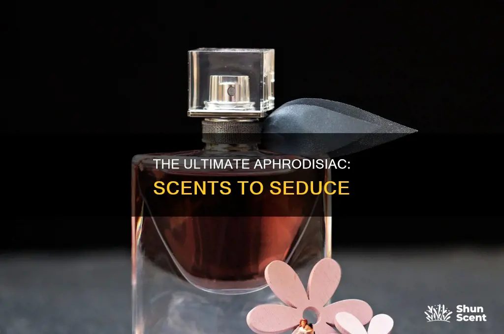 what is the most powerful aphrodisiac perfume