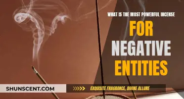 Incense to Banish Negative Entities: The Most Powerful Scents
