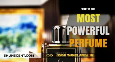 The Most Powerful Scents: Discover the Strongest Perfumes