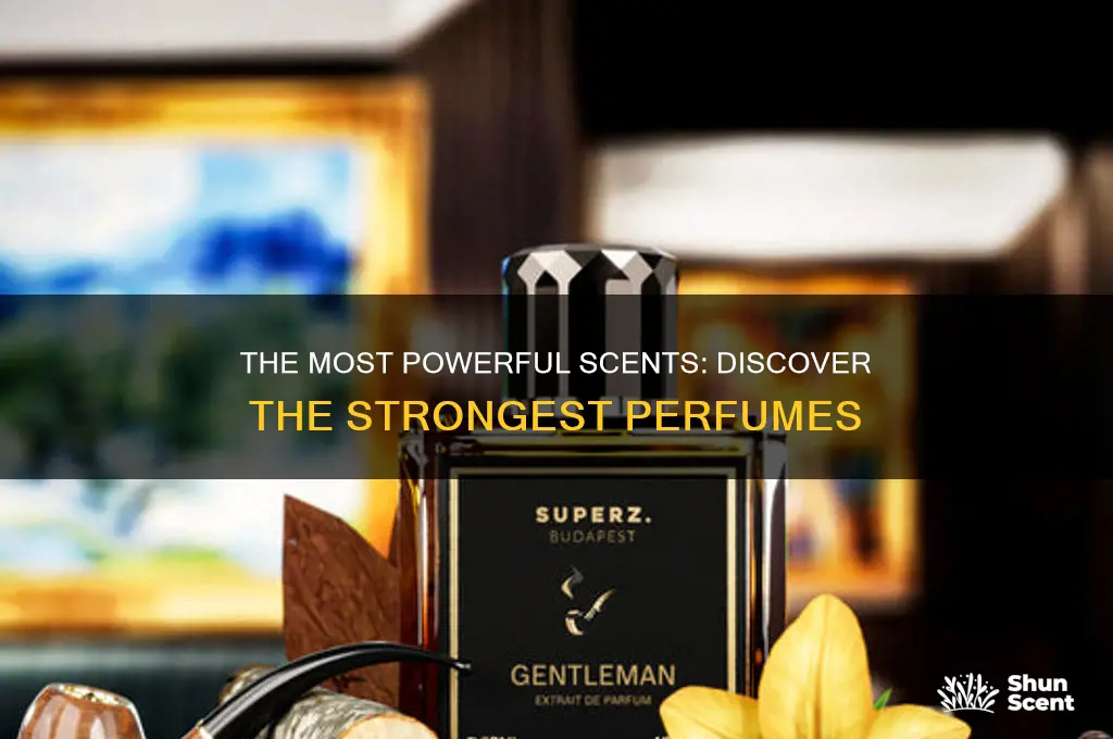 what is the most powerful perfume