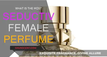 Seductive Scents: Top Female Perfumes to Entice