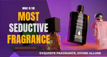 The Allure of Seductive Scents: Fragrance Secrets Revealed