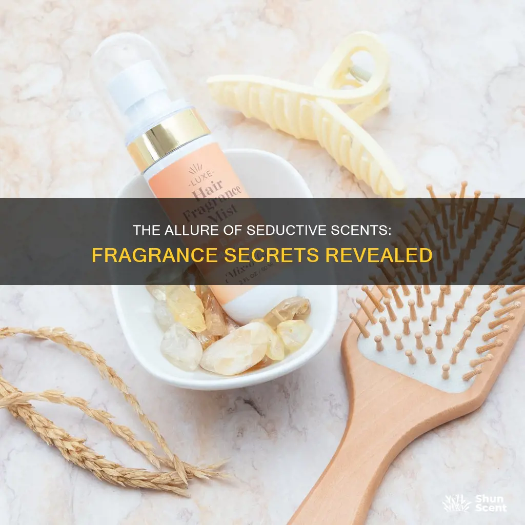what is the most seductive fragrance