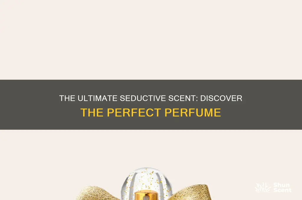 what is the most seductive perfume