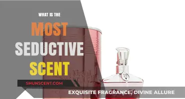 Unveiling the Irresistible: The Most Seductive Scents Revealed